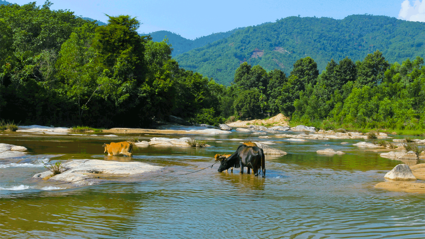 Suối Đá Giăng